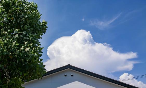 夏雲 夏雲の写真