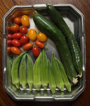 R7.8.2 Harvesting tomatoes, okra and cucumbers, JPG