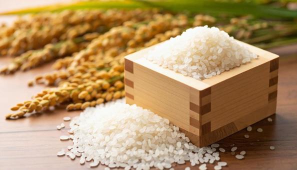 木の桝に入った米 稲の穂 木の桝に入った米 稲の穂の写真