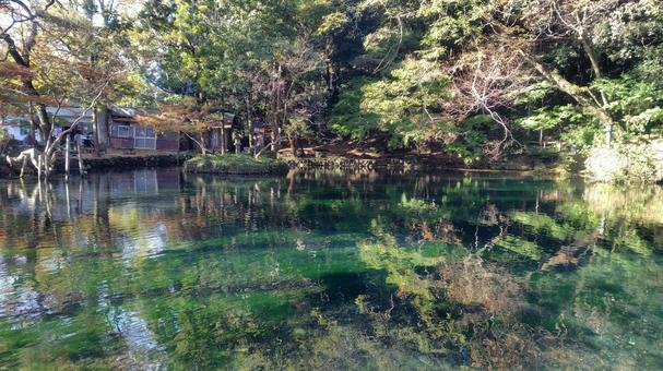 出流原弁財池 栃木県,佐野市,出流原の写真素材