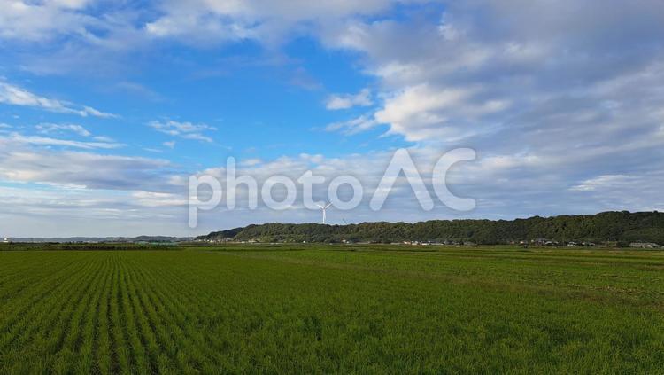 田舎の風景 土手,空,風景の写真素材