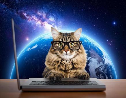 宇宙で仕事をする猫 宇宙で仕事をする猫の写真