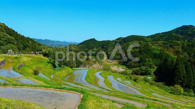 大山千枚田、春の風景 棚田,田んぼ,田の写真素材