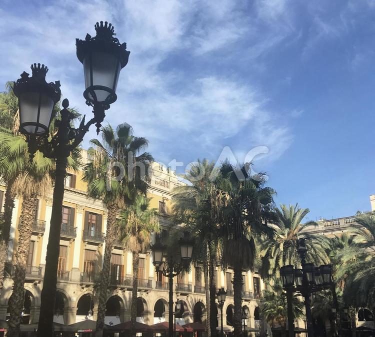 青空に映えるバルセロナのレイアール広場 スペイン,バルセロナ,レイアール広場の写真素材