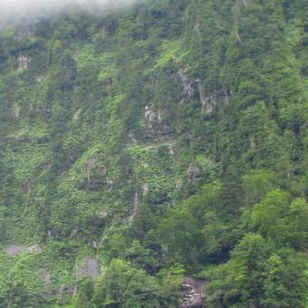 富山県-悪城の壁 富山県-悪城の壁の写真