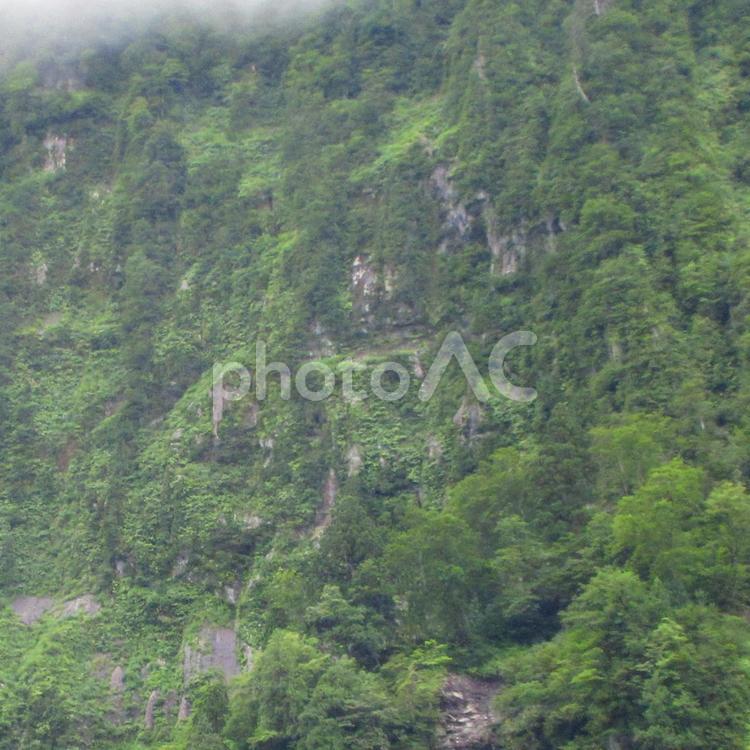 富山県-悪城の壁 悪城の壁,断崖,絶壁の写真素材