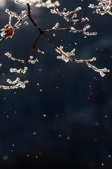 光る霧氷と落ちる雪_縦の写真
