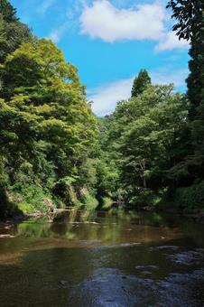 養老渓谷 養老川(縦) 養老渓谷 養老川(縦)の写真