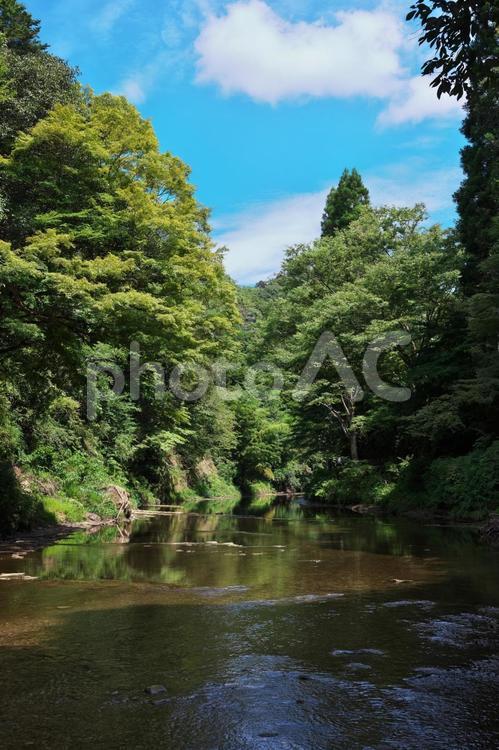 養老渓谷　養老川（縦） 養老渓谷,養老川,奥清澄自然公園の写真素材