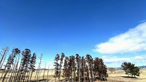 青い空 青い空の写真
