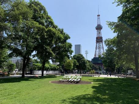 6月下旬の札幌大通公園西2丁目 6月下旬の札幌大通公園西2丁目 大通公園,観光地,観光の写真素材
