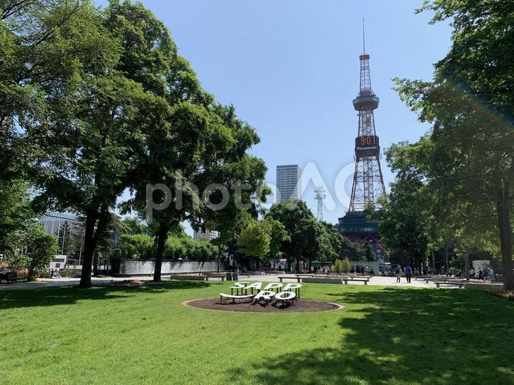 6月下旬の札幌大通公園西2丁目 大通公園,観光地,観光の写真素材