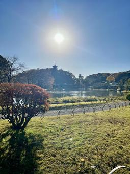 秋の日本庭園と太陽 秋の日本庭園と太陽 三溪園,神奈川,日本庭園の写真素材