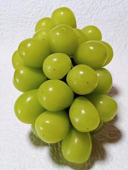 シャインマスカット シャインマスカット,ぶどう,フルーツの写真素材