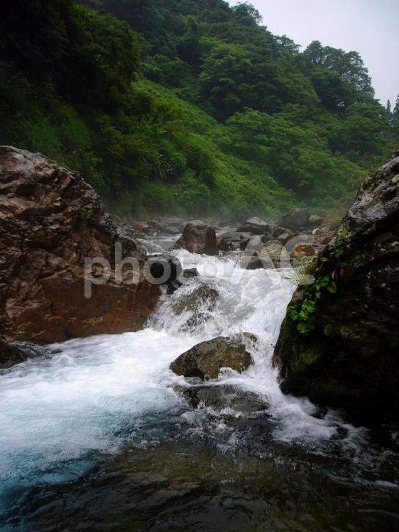 初夏の渓流3 滝壺,急流,釣りの写真素材
