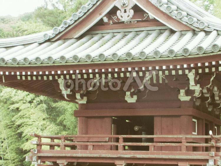 奈良県-當麻寺-奥院-楼門-近景 當麻寺,寺,二上山の写真素材