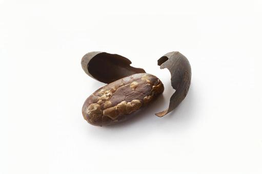 カカオ豆 カカオ豆 カカオ豆,1粒,種子の写真素材