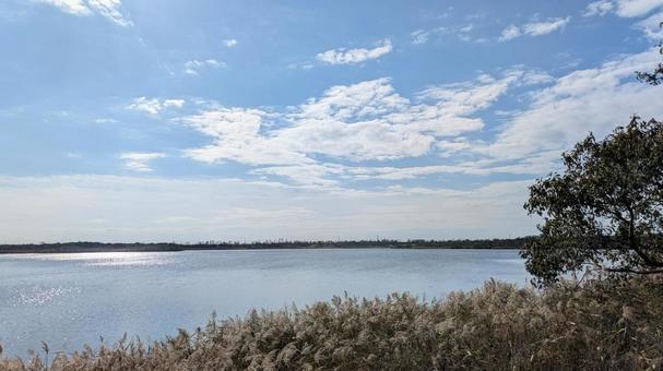ウトナイ湖　青空の写真