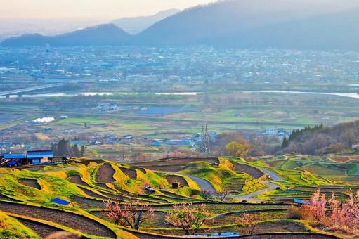 春暁の朝靄が包み込む千曲市と姨捨の棚田 棚田,姨捨の棚田,長野県の写真素材