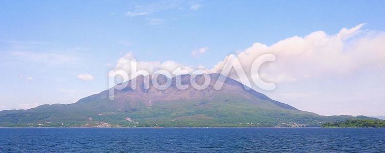 噴煙を上げる桜島 桜島,山,活火山の写真素材