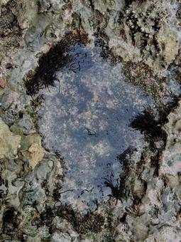 山口県彦島 竹ノ子島の磯辺 山口県彦島 竹ノ子島の磯辺 瀬戸内海,海辺の風景,岩の写真素材