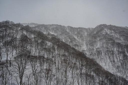 谷川岳ロープウェイから見た景色 谷川岳ロープウェイから見た景色の写真