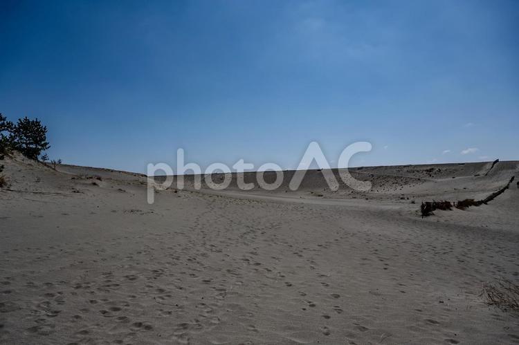 中田島砂丘周辺の景色 中田島砂丘,砂,快晴の写真素材