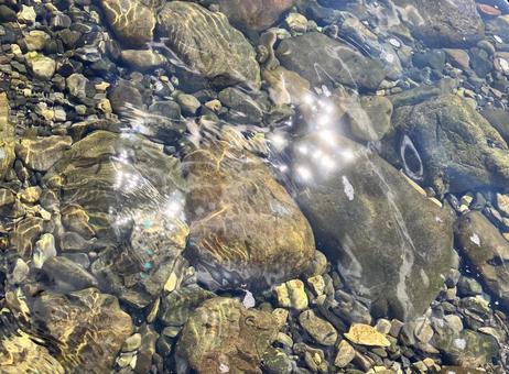 川の水面に太陽の光がキラキラ 川,水面,川面の写真素材