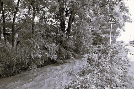2025年9月の里山18 大雨,悪天候,雨上がりの写真素材