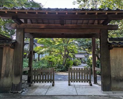 門越しに望む寺院の庭 門越しに望む寺院の庭 寺院,門,自然の写真素材