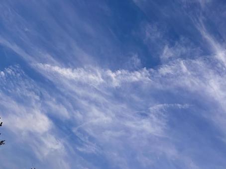 【風景写真】夏空 【風景写真】夏空の写真