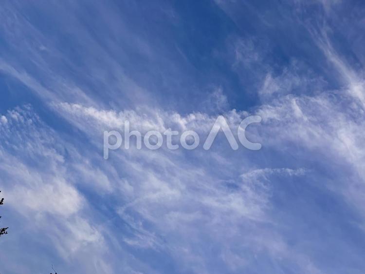 【風景写真】夏空 夏空,空,雲の写真素材