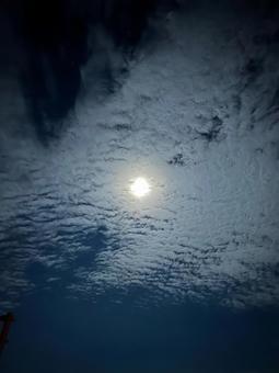 月と雲 月,風景,自然の写真素材