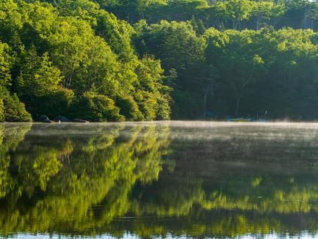 白駒池の朝もや 白駒池,北八ヶ岳,にゅうの写真素材