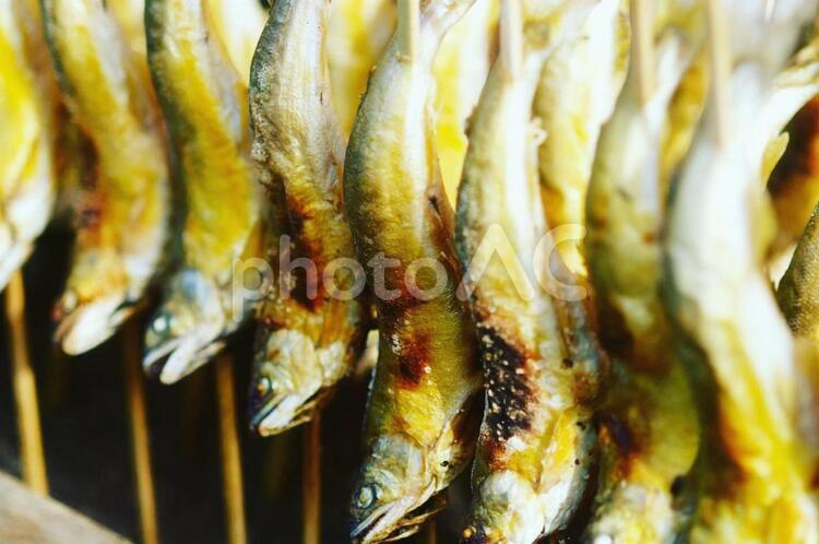鮎の塩焼き 鮎,鮎の塩焼き,焼き魚の写真素材