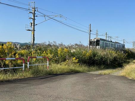 ローカル線 ローカル線 ローカル線,トキ鉄,ススキの写真素材