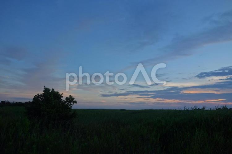 夕暮れ 風景,空,木の写真素材