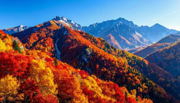 山を彩る鮮やかな紅葉の谷 山を彩る鮮やかな紅葉の谷の写真