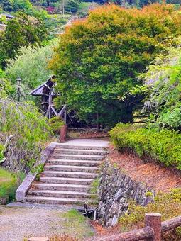 森の風景〜徳島県神山町 森の風景〜徳島県神山町 森,階段,かわいいの写真素材