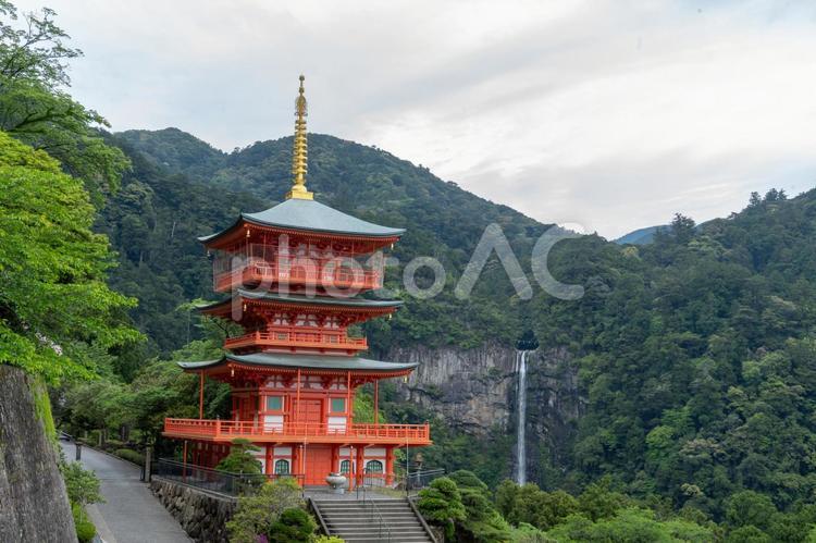 和歌山　青岸渡寺　三重塔と那智滝 飛瀧神社,青岸渡寺,三重塔の写真素材