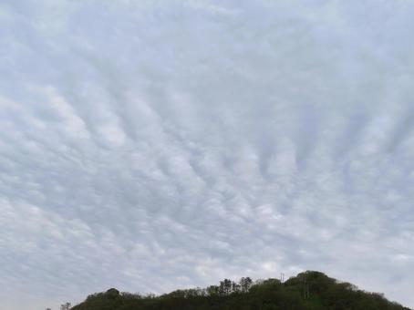 ひつじ雲 ひつじ雲 ひつじ雲,羊雲,雲の写真素材