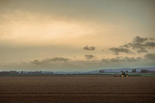 夕暮れの畑とトラクター 夕暮れの畑とトラクターの写真