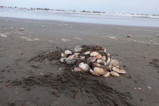 九十九里浜 日本,千葉,九十九里の写真素材