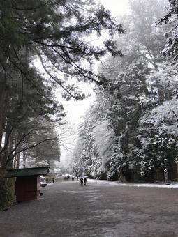 冬の日光東照宮 冬の日光東照宮 参道,日光東照宮,雪の写真素材