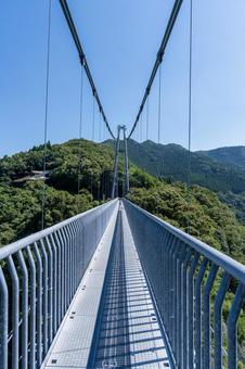 綾の照葉大吊橋 綾の照葉大吊橋の写真