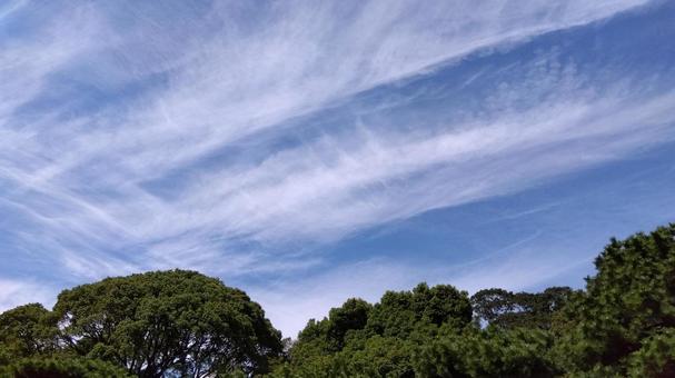 空 空の写真