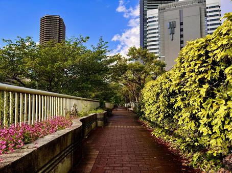 都市の街並 都市の街並 都市,都市の街並,都会の写真素材