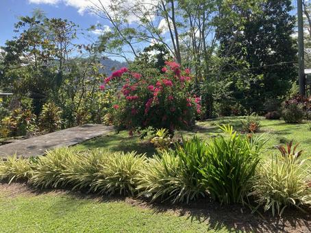 自然 川,自然,風景の写真素材