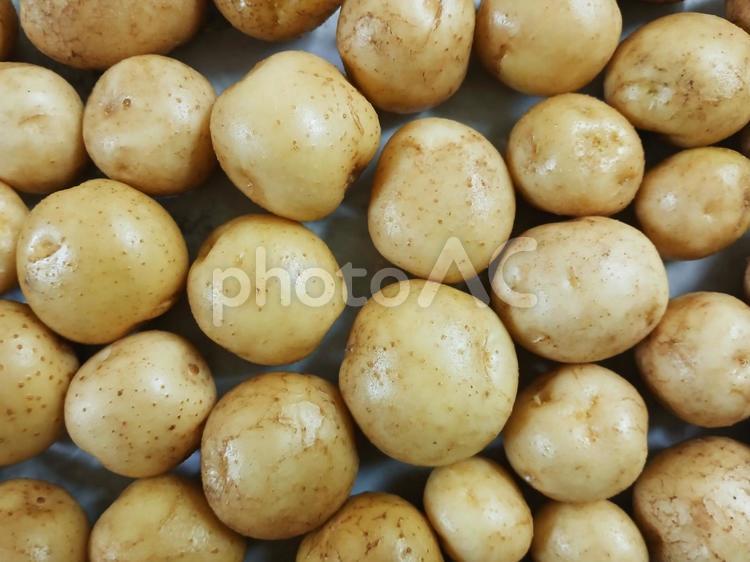 ジャガイモ　平置き ジャガイモ,野菜,食べ物の写真素材
