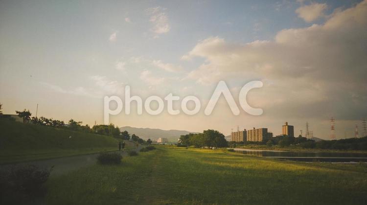夕暮れの公園 オールドレンズ,カメラ,逆光の写真素材
